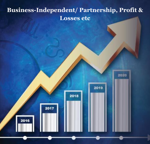 Business-Independent/ Partnership, Profit & Losses etc Services in Vasant Kunj, New Delhi, Bidar, Karnataka, India